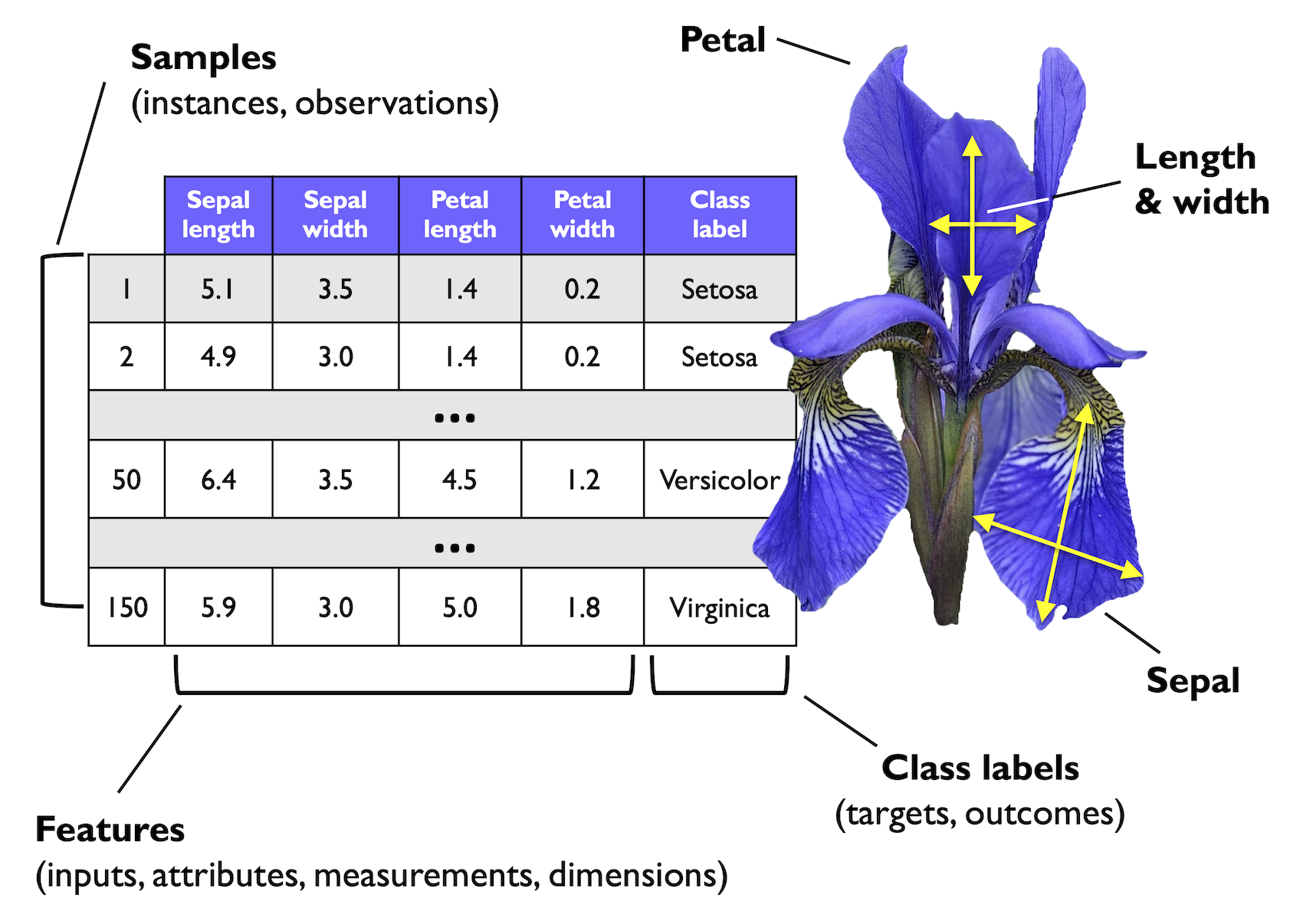 Key Terminology in ML