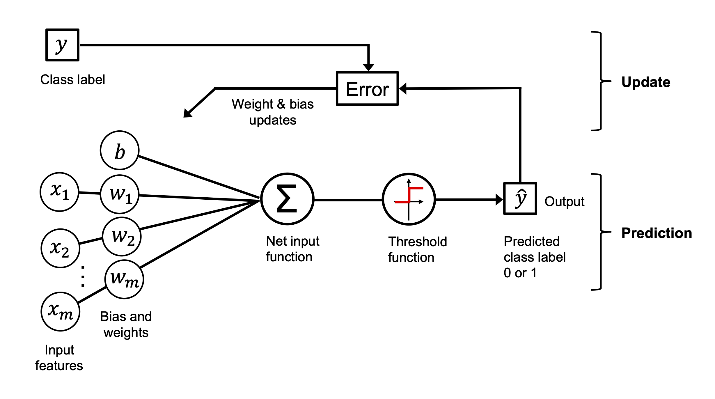 Perceptron Learning Rule